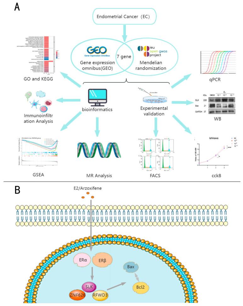 https://cdn.ncbi.nlm.nih.gov/pmc/blobs/1fd8/11853163/5c4cd5eead5c/biomedicines-13-00498-g001.jpg