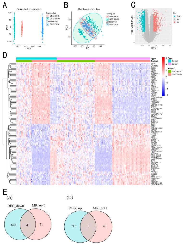 https://cdn.ncbi.nlm.nih.gov/pmc/blobs/1fd8/11853163/b050c8e5cb3a/biomedicines-13-00498-g002.jpg