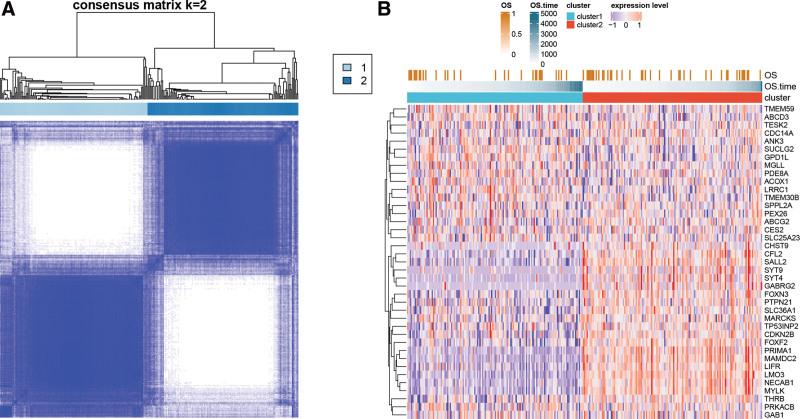 https://cdn.ncbi.nlm.nih.gov/pmc/blobs/1fda/10545376/08072efa8558/medi-102-e35422-g005.jpg
