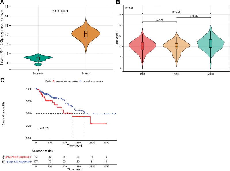 https://cdn.ncbi.nlm.nih.gov/pmc/blobs/1fda/10545376/b4582e474827/medi-102-e35422-g001.jpg