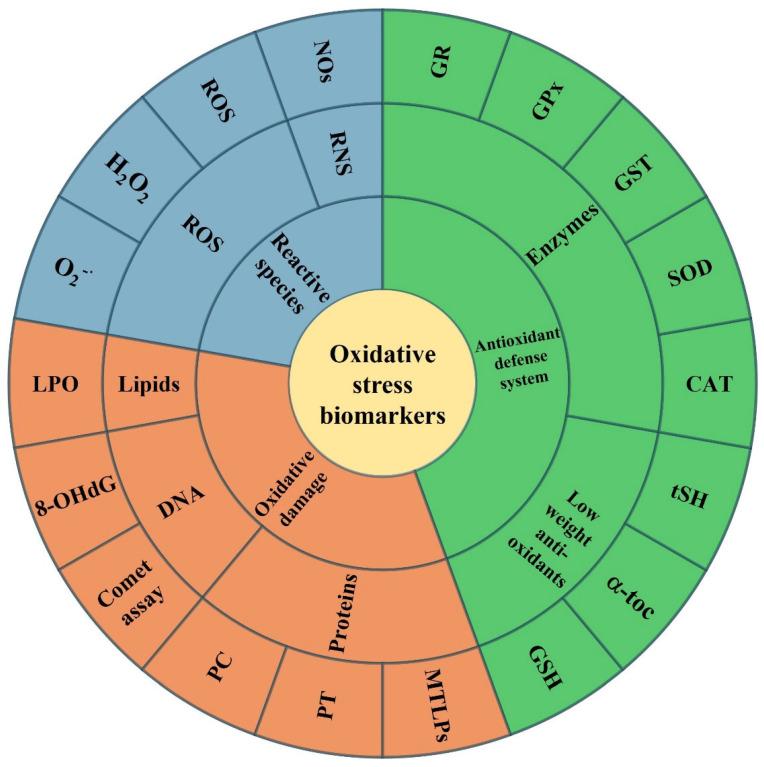 https://cdn.ncbi.nlm.nih.gov/pmc/blobs/1fda/12390061/ca88312c91b4/toxics-13-00698-g001.jpg