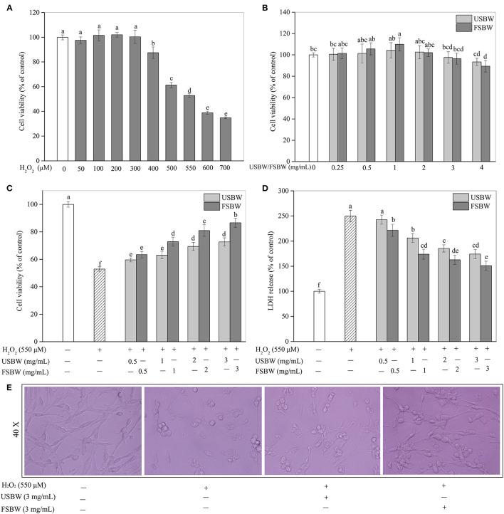 https://cdn.ncbi.nlm.nih.gov/pmc/blobs/1fda/8957961/8afa7586f842/fnut-09-833555-g0002.jpg