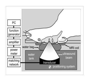 https://cdn.ncbi.nlm.nih.gov/pmc/blobs/1fdc/3020671/d399387f721d/1471-2377-10-114-1.jpg
