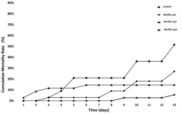 https://cdn.ncbi.nlm.nih.gov/pmc/blobs/1fdd/11263102/1c991d131972/fcimb-14-1354736-g008.jpg