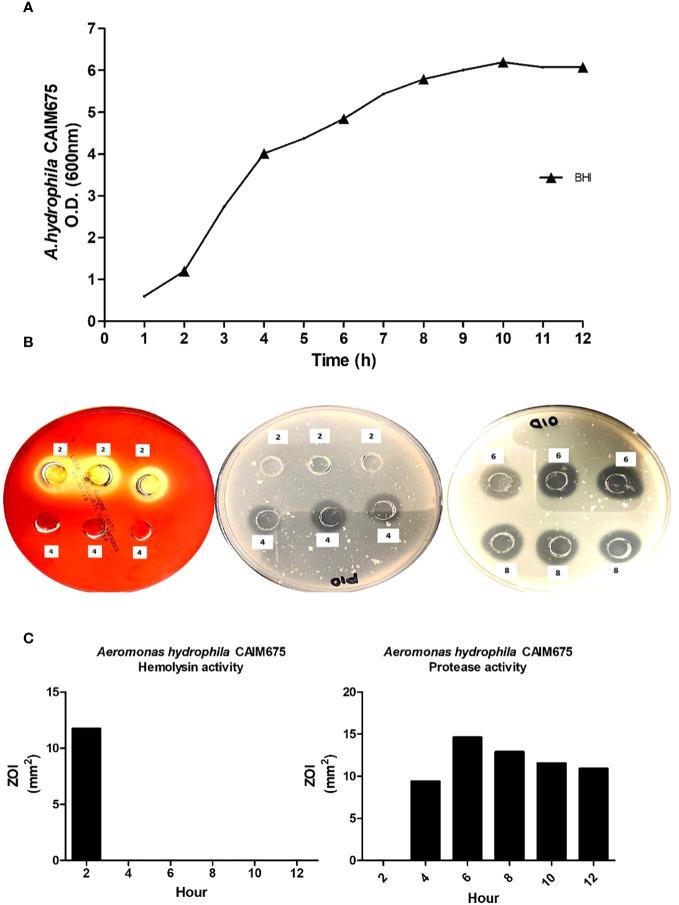 https://cdn.ncbi.nlm.nih.gov/pmc/blobs/1fdd/11263102/29a188d013d4/fcimb-14-1354736-g002.jpg