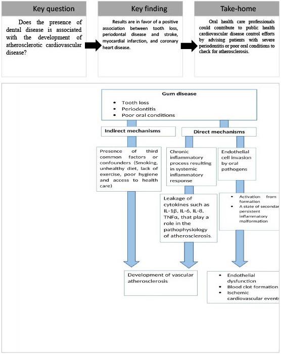 https://cdn.ncbi.nlm.nih.gov/pmc/blobs/1fdf/11264166/83e88eafc76b/2153-8174-24-6-159-g2.jpg