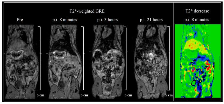 https://cdn.ncbi.nlm.nih.gov/pmc/blobs/1fe1/10671131/e6fbce40aa99/ijms-24-16203-g009.jpg