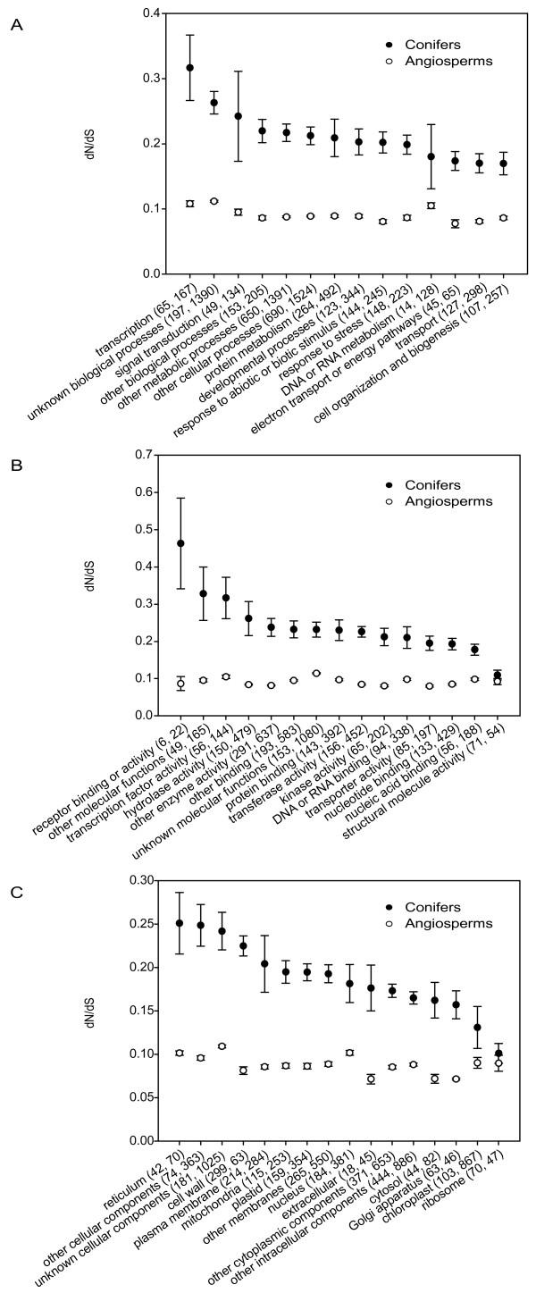 https://cdn.ncbi.nlm.nih.gov/pmc/blobs/1fe1/3328258/26006544d254/1471-2148-12-8-2.jpg