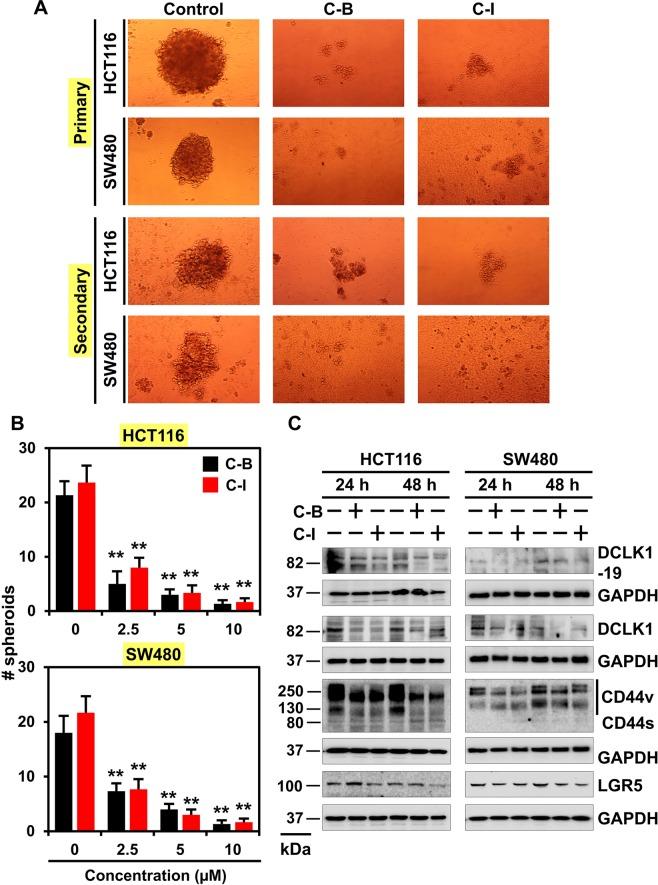 https://cdn.ncbi.nlm.nih.gov/pmc/blobs/1fe2/6987129/508e675b1568/41598_2020_57940_Fig4_HTML.jpg
