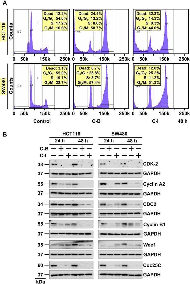 https://cdn.ncbi.nlm.nih.gov/pmc/blobs/1fe2/6987129/7308fee23eb9/41598_2020_57940_Fig2_HTML.jpg