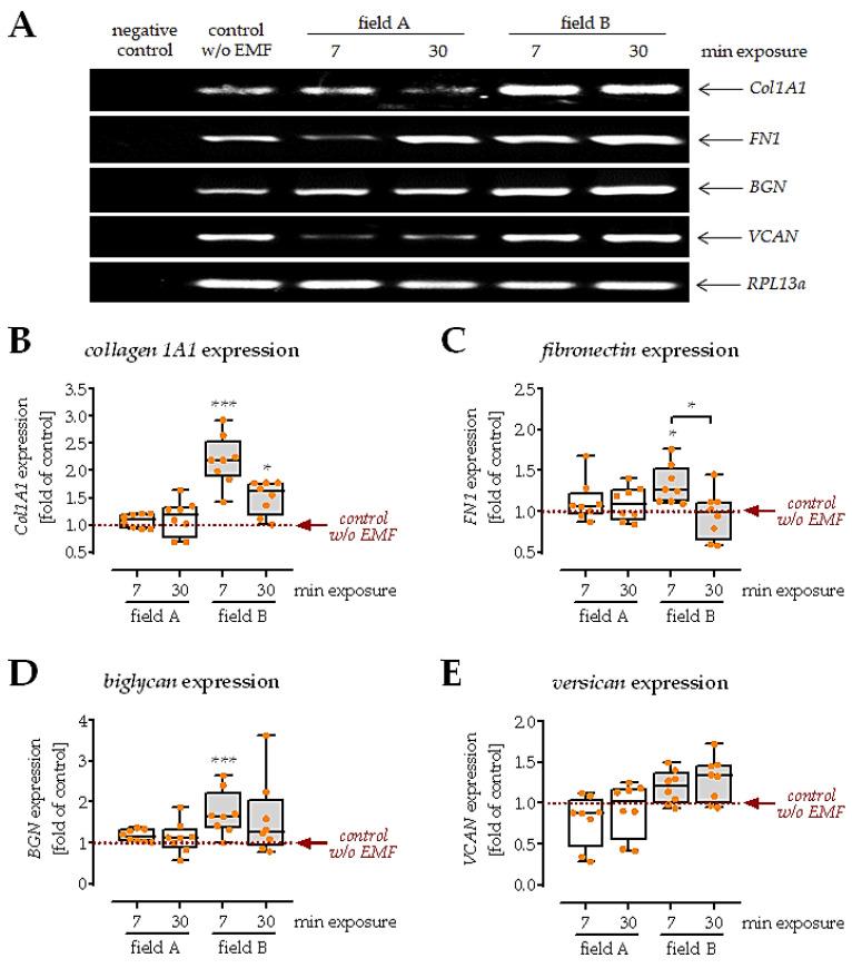 https://cdn.ncbi.nlm.nih.gov/pmc/blobs/1fe3/8615107/06572b6234a9/bioengineering-08-00167-g006.jpg