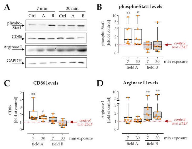 https://cdn.ncbi.nlm.nih.gov/pmc/blobs/1fe3/8615107/2f8c55910840/bioengineering-08-00167-g002.jpg