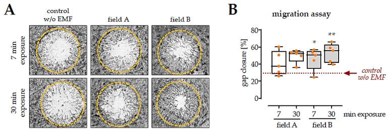 https://cdn.ncbi.nlm.nih.gov/pmc/blobs/1fe3/8615107/a76516c7e2e3/bioengineering-08-00167-g005.jpg