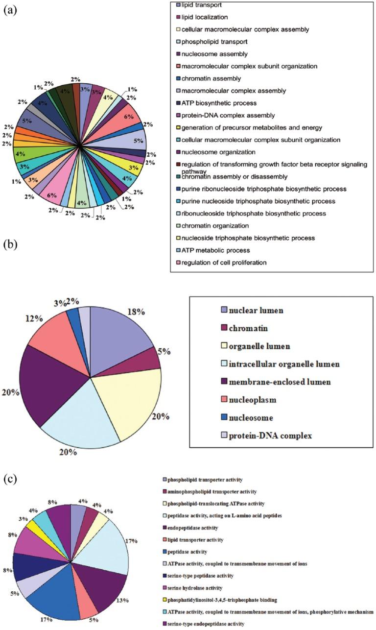 https://cdn.ncbi.nlm.nih.gov/pmc/blobs/1fe4/5849243/bacf93889dfd/10.1177_0394632017750997-fig2.jpg