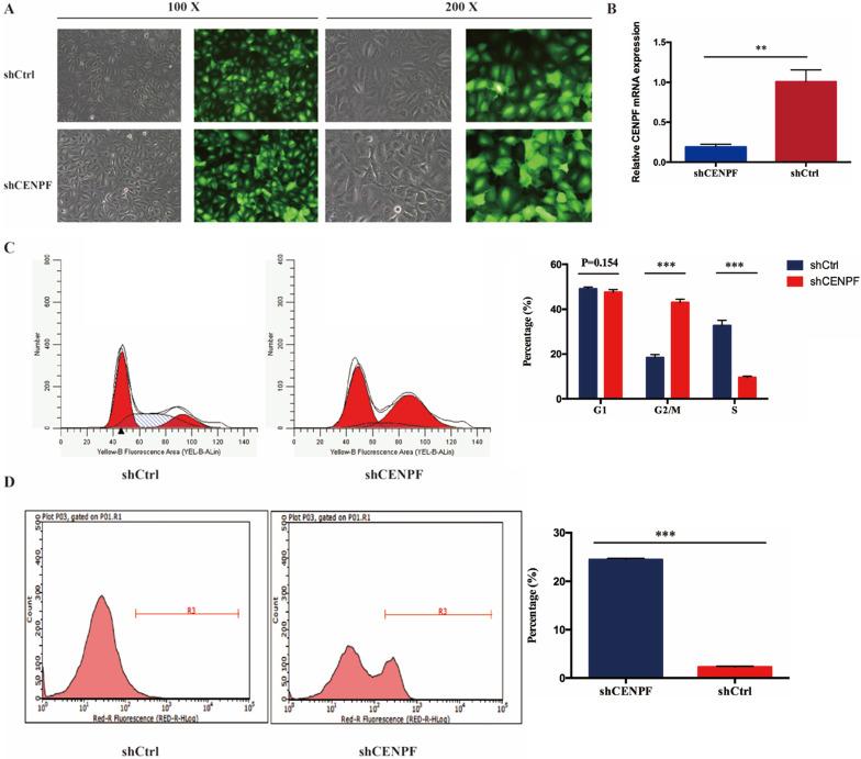 https://cdn.ncbi.nlm.nih.gov/pmc/blobs/1fe4/7757141/2c70e5bf1740/ijmsv18p0494g004.jpg