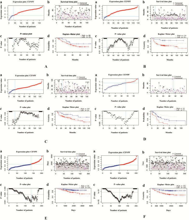 https://cdn.ncbi.nlm.nih.gov/pmc/blobs/1fe4/7757141/a3e55e301fca/ijmsv18p0494g002.jpg