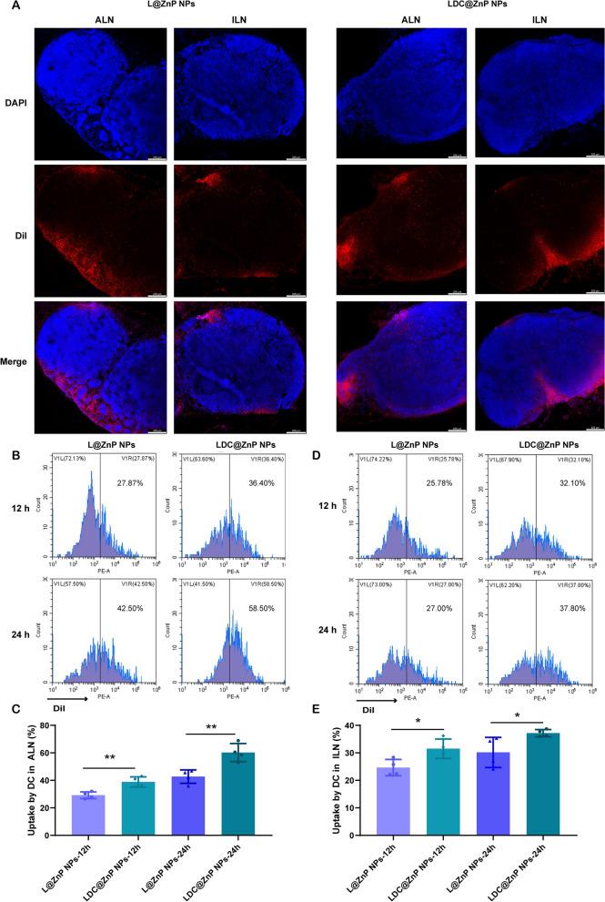 https://cdn.ncbi.nlm.nih.gov/pmc/blobs/1fe6/10521411/67c3d660df15/12951_2023_2106_Fig4_HTML.jpg