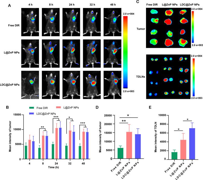 https://cdn.ncbi.nlm.nih.gov/pmc/blobs/1fe6/10521411/f741c68b826a/12951_2023_2106_Fig5_HTML.jpg