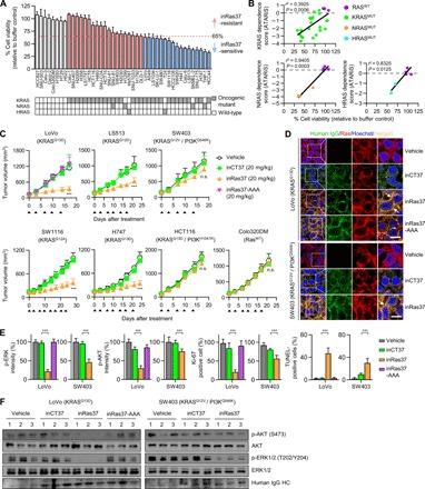 https://cdn.ncbi.nlm.nih.gov/pmc/blobs/1fe6/6962039/0a53509e6653/aay2174-F5.jpg