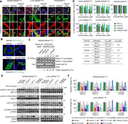 https://cdn.ncbi.nlm.nih.gov/pmc/blobs/1fe6/6962039/4b0a43949a1f/aay2174-F2.jpg