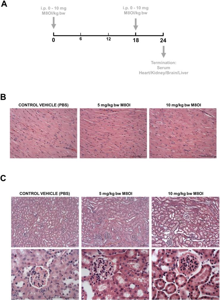 https://cdn.ncbi.nlm.nih.gov/pmc/blobs/1fe6/7447983/2d68c762ca8b/gr2a.jpg