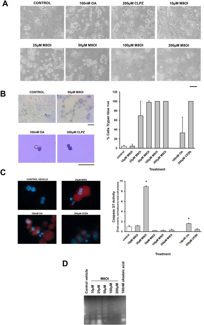 https://cdn.ncbi.nlm.nih.gov/pmc/blobs/1fe6/7447983/405cbbd7bdf6/gr5a.jpg
