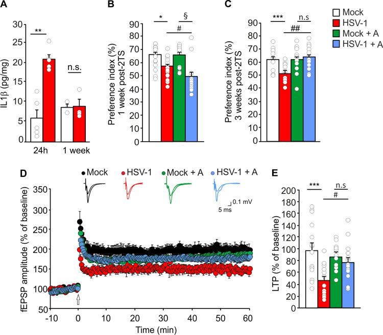 https://cdn.ncbi.nlm.nih.gov/pmc/blobs/1fe8/11071923/1319a1e3f5d8/18_2023_4817_Fig1_HTML.jpg
