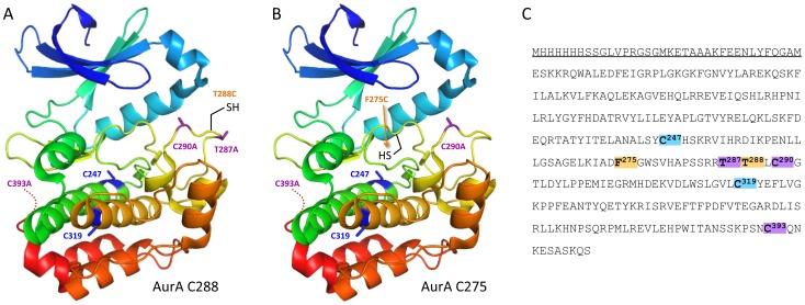 https://cdn.ncbi.nlm.nih.gov/pmc/blobs/1feb/4122486/b265038b04cb/pone.0103935.g002.jpg