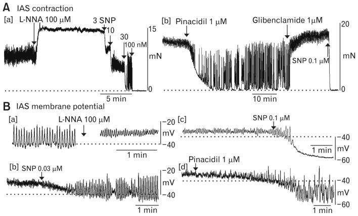 https://cdn.ncbi.nlm.nih.gov/pmc/blobs/1fec/6474703/793fef30ab25/jnm-25-189f6.jpg