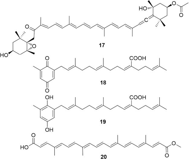 https://cdn.ncbi.nlm.nih.gov/pmc/blobs/1fed/5518659/21210a67b5cf/gr6.jpg