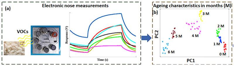 https://cdn.ncbi.nlm.nih.gov/pmc/blobs/1ff0/10141392/2d91a6aa8a65/sensors-23-04017-g008.jpg