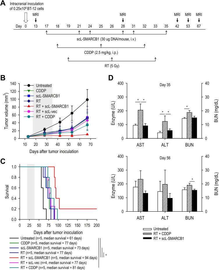 https://cdn.ncbi.nlm.nih.gov/pmc/blobs/1ff2/11185260/ba756c16ed48/IJN-19-5973-g0008.jpg