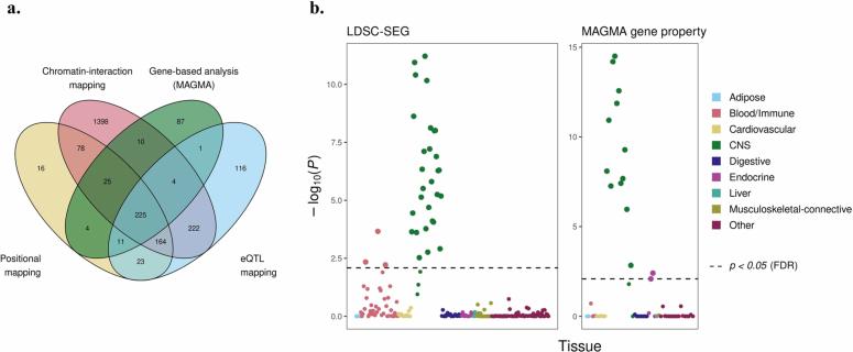 https://cdn.ncbi.nlm.nih.gov/pmc/blobs/1ff4/12018258/7d2c52359799/41562_2024_2080_Fig11_ESM.jpg