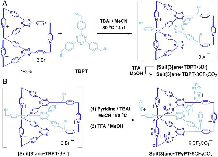 https://cdn.ncbi.nlm.nih.gov/pmc/blobs/1ff4/8944772/c7d792a4e9a0/pnas.2118573119fig05.jpg