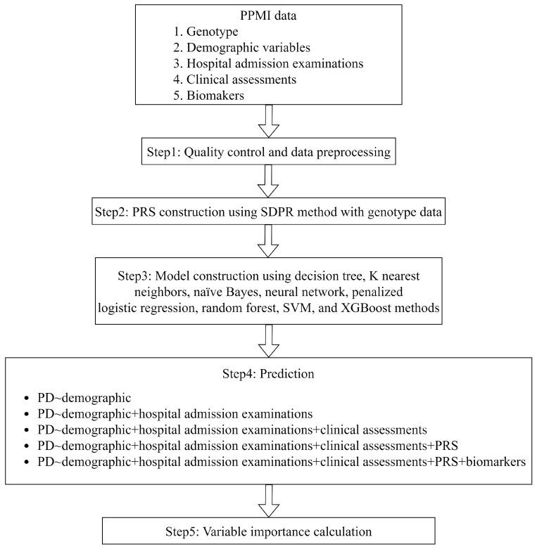https://cdn.ncbi.nlm.nih.gov/pmc/blobs/1ff5/10741603/458ec484fa3a/biomolecules-13-01761-g001.jpg