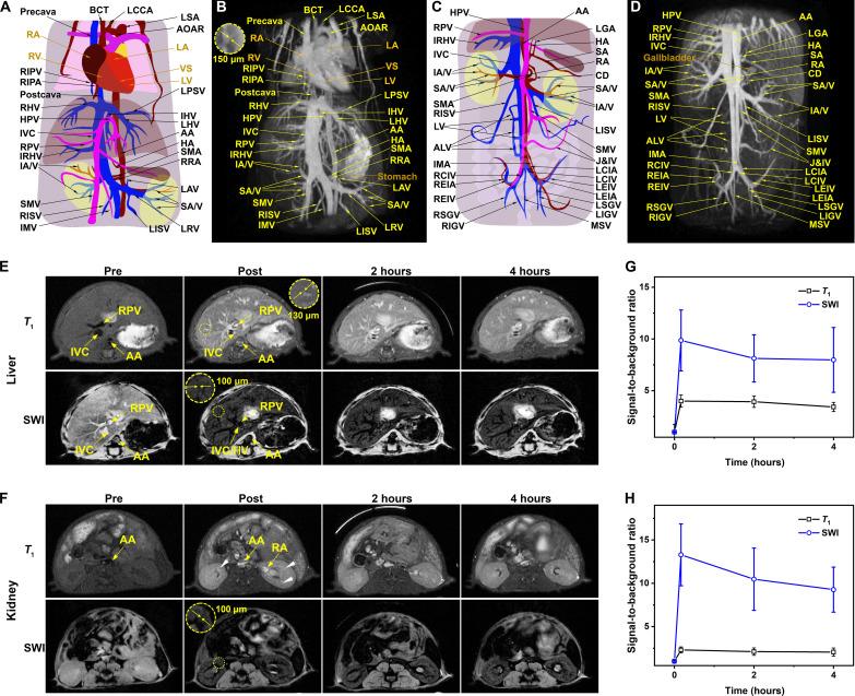 https://cdn.ncbi.nlm.nih.gov/pmc/blobs/1ff5/11451532/18a62ea40bcf/sciadv.adq4082-f3.jpg