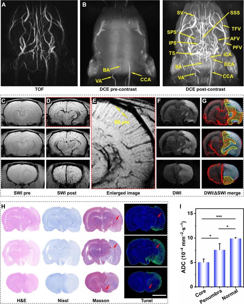 https://cdn.ncbi.nlm.nih.gov/pmc/blobs/1ff5/11451532/53d3922ed0ea/sciadv.adq4082-f5.jpg