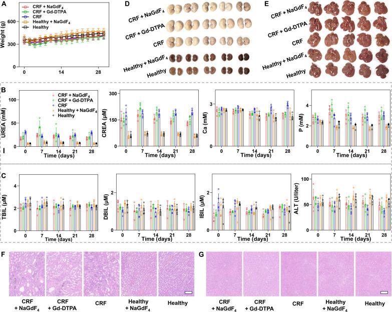 https://cdn.ncbi.nlm.nih.gov/pmc/blobs/1ff5/11451532/e99d411058fe/sciadv.adq4082-f8.jpg