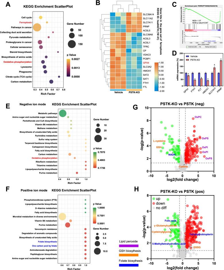 https://cdn.ncbi.nlm.nih.gov/pmc/blobs/1ff5/8725338/1ef7417cea64/12943_2021_1466_Fig5_HTML.jpg
