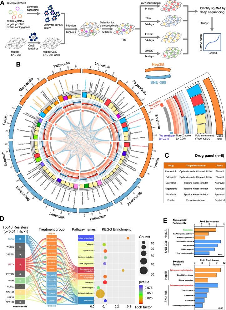https://cdn.ncbi.nlm.nih.gov/pmc/blobs/1ff5/8725338/2b0c4253a320/12943_2021_1466_Fig1_HTML.jpg
