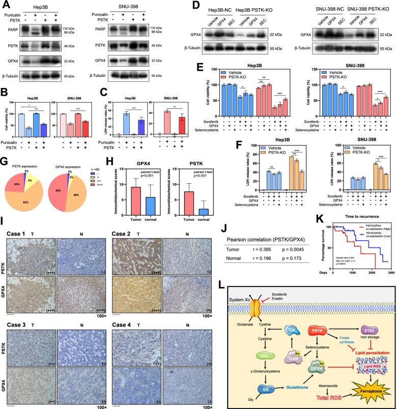 https://cdn.ncbi.nlm.nih.gov/pmc/blobs/1ff5/8725338/4890fee94b06/12943_2021_1466_Fig8_HTML.jpg