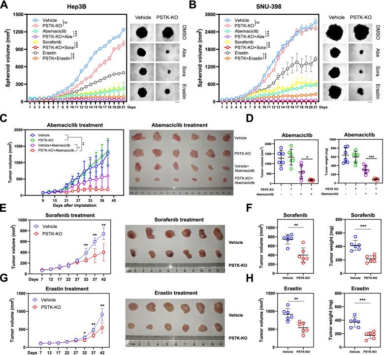 https://cdn.ncbi.nlm.nih.gov/pmc/blobs/1ff5/8725338/4e6de1e82100/12943_2021_1466_Fig4_HTML.jpg