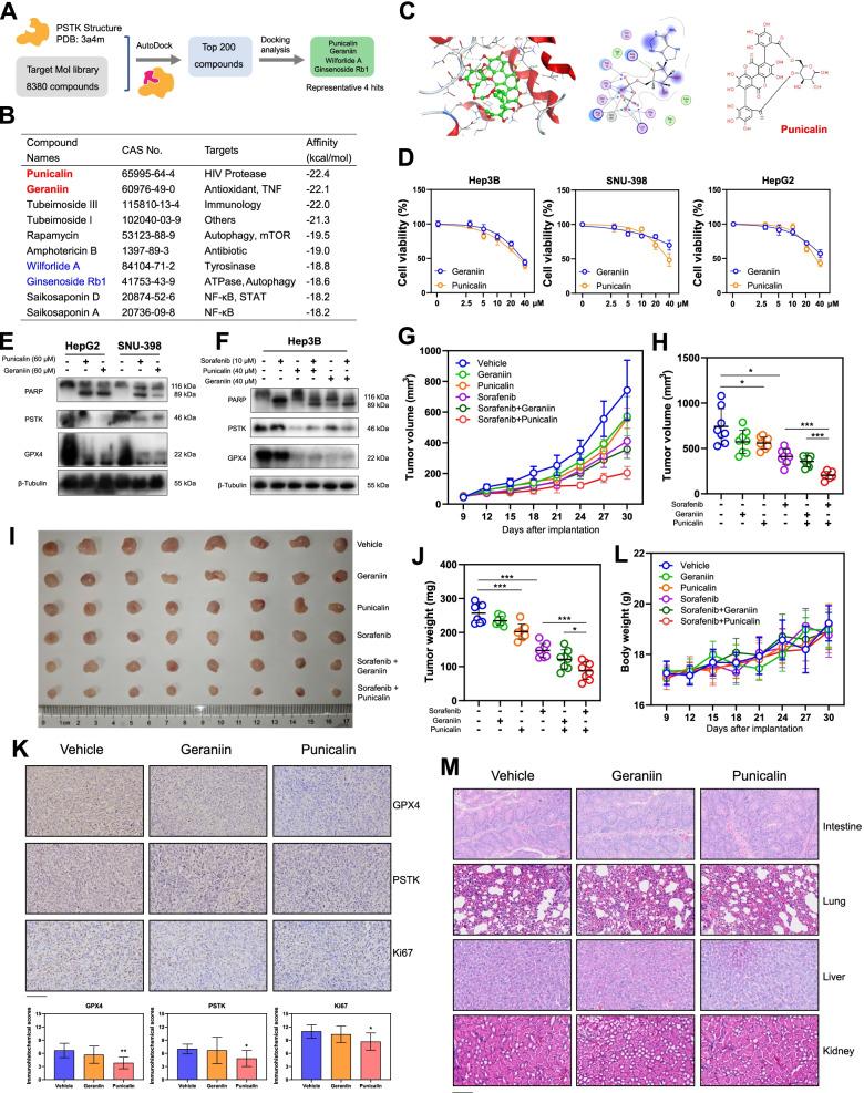 https://cdn.ncbi.nlm.nih.gov/pmc/blobs/1ff5/8725338/8bebc817b5f2/12943_2021_1466_Fig7_HTML.jpg