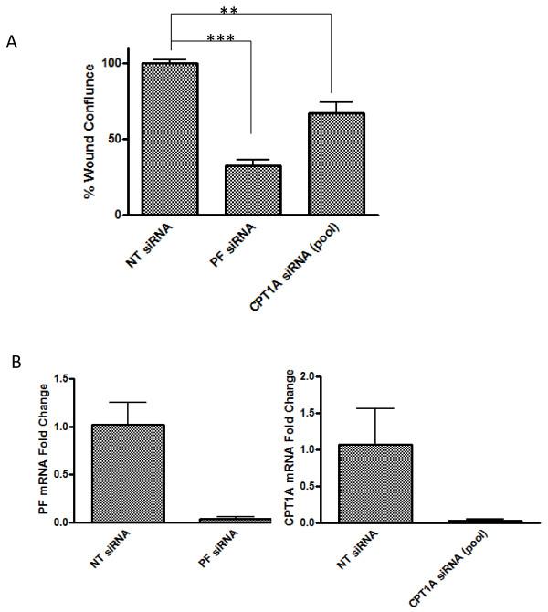 https://cdn.ncbi.nlm.nih.gov/pmc/blobs/1ff7/3453510/4a89f67782fd/1471-2407-12-154-6.jpg