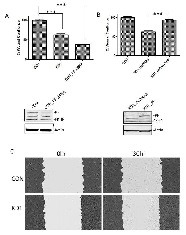 https://cdn.ncbi.nlm.nih.gov/pmc/blobs/1ff7/3453510/7ec5e6288ba3/1471-2407-12-154-2.jpg