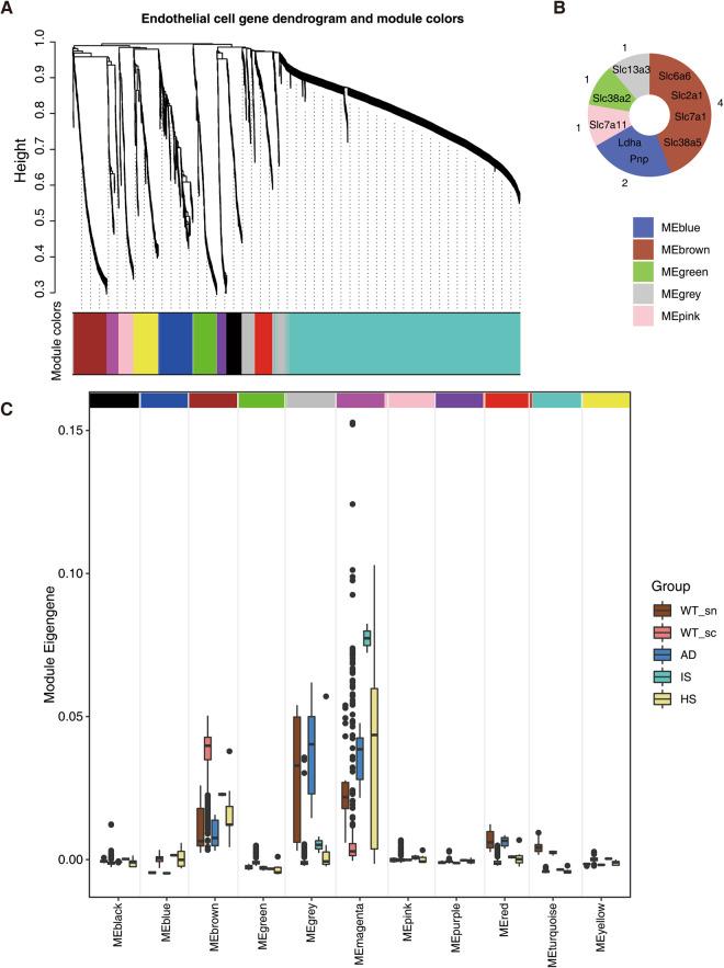 https://cdn.ncbi.nlm.nih.gov/pmc/blobs/1ffa/10542331/8bfd371313ac/41597_2023_2512_Fig4_HTML.jpg
