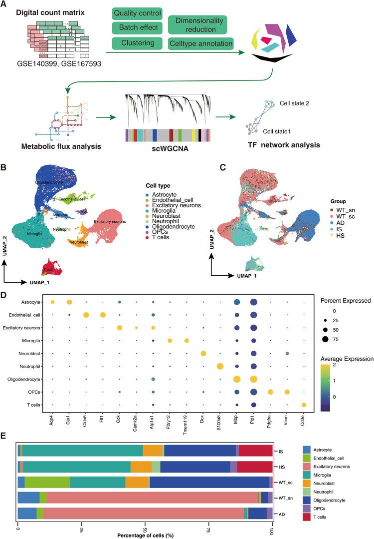 https://cdn.ncbi.nlm.nih.gov/pmc/blobs/1ffa/10542331/a06f2e58572b/41597_2023_2512_Fig1_HTML.jpg