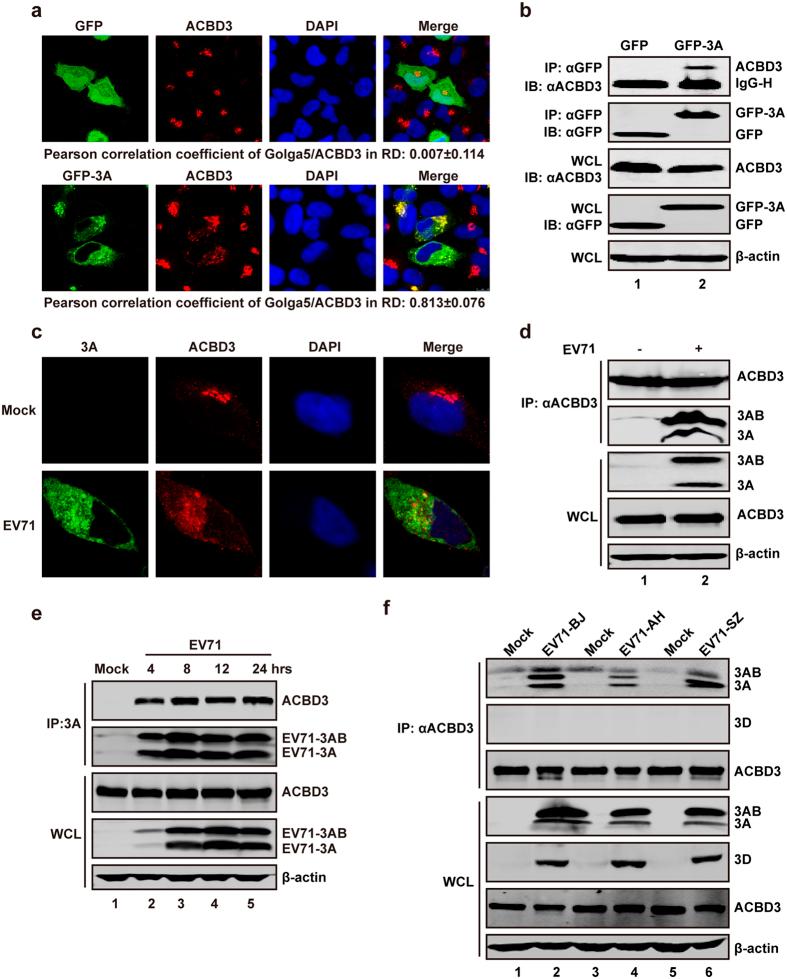 https://cdn.ncbi.nlm.nih.gov/pmc/blobs/1ffa/5356004/4ae8a9a98304/srep44592-f2.jpg