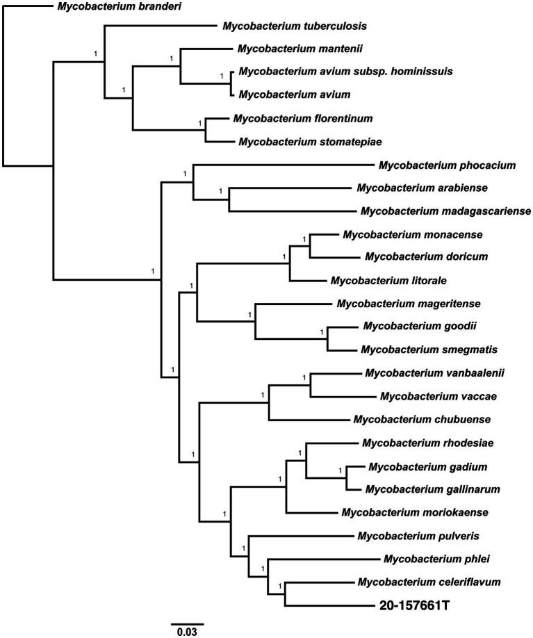https://cdn.ncbi.nlm.nih.gov/pmc/blobs/1ffb/9589434/07024dabc6f6/fmicb-13-992610-g004.jpg