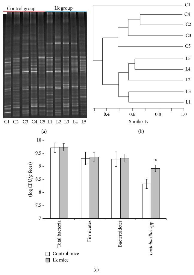 https://cdn.ncbi.nlm.nih.gov/pmc/blobs/1ffd/4355334/b18bd3f27941/JIR2015-361604.006.jpg